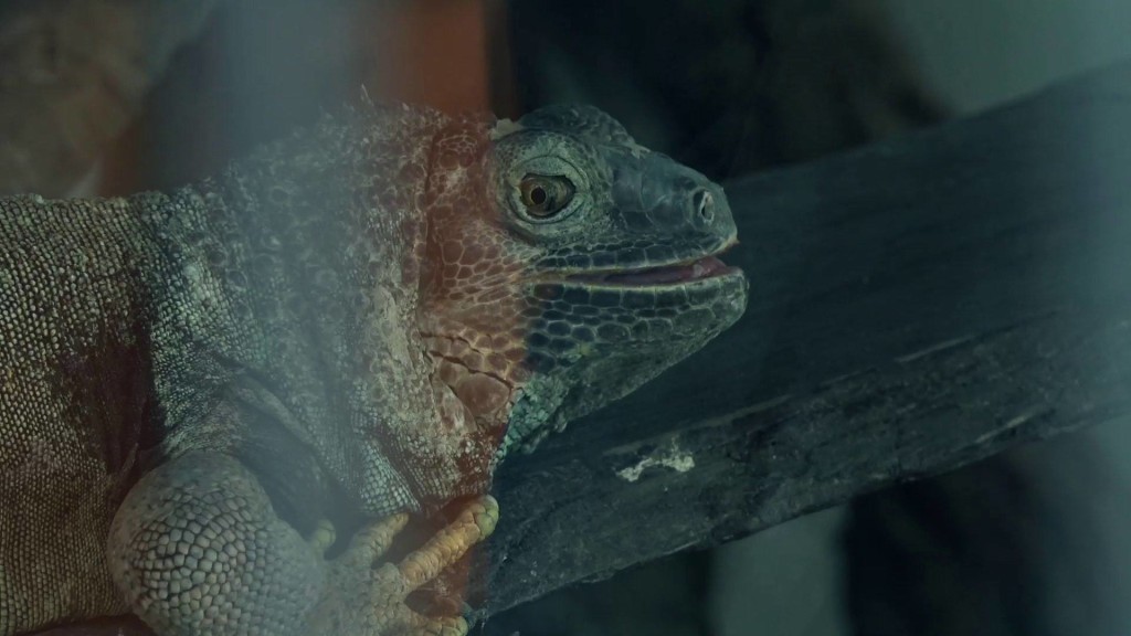 12244354_460183250836328_6789572080718144419_o